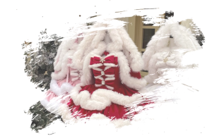 angora rabbit red cape christmas and new year princess dress